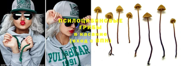 спайс Абаза