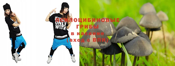 эйфоретик Алексеевка
