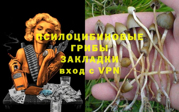 mix Алексин